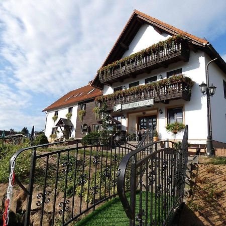 Hotel-Pension Flechsig Hartmannsdorf bei Kirchberg 외부 사진