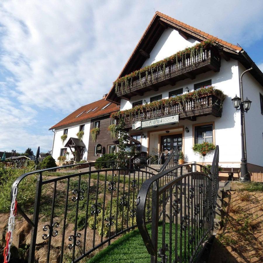 Hotel-Pension Flechsig Hartmannsdorf bei Kirchberg 외부 사진