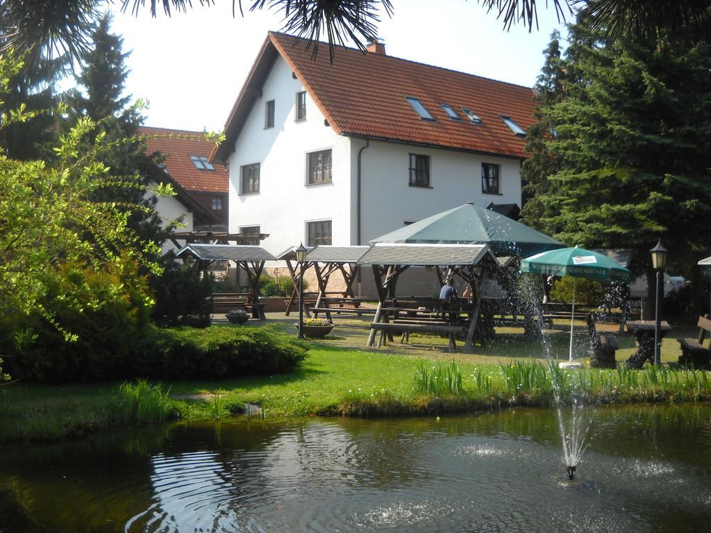 Hotel-Pension Flechsig Hartmannsdorf bei Kirchberg 외부 사진
